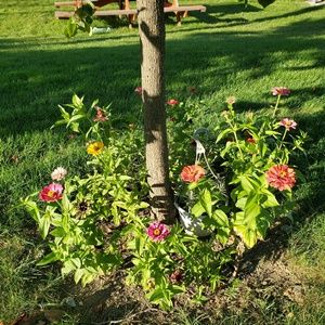 Meet your Posher, Ina